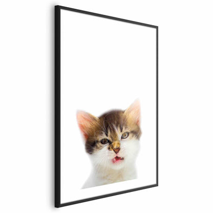 Poster - Annoyed Cat Artgeist