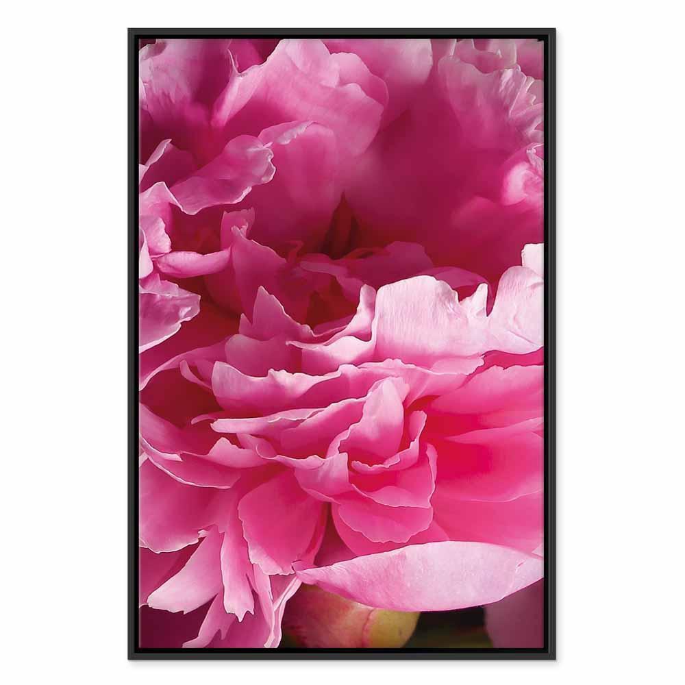 Leinwandbild - Blossom of Beauty (1-part) - Pink Peony Flower Embraced by Nature