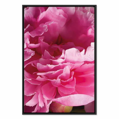 Leinwandbild - Blossom of Beauty (1-part) - Pink Peony Flower Embraced by Nature