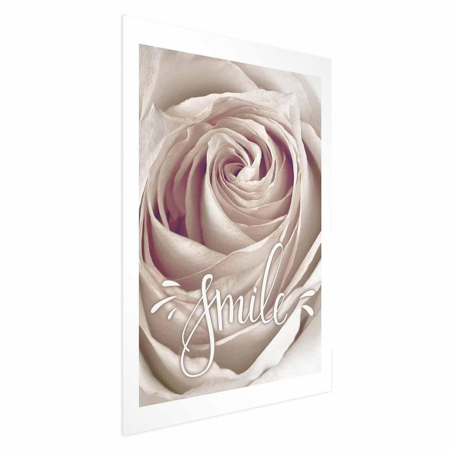 Poster featuring a close-up of a white rose with the word 