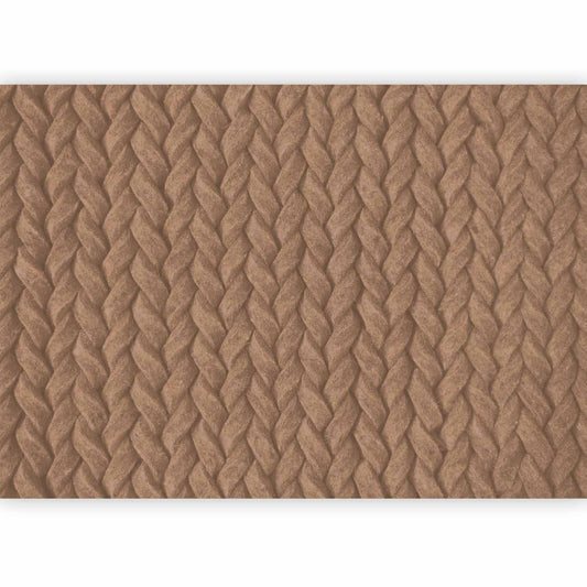 Fototapete - Braids - First Variant