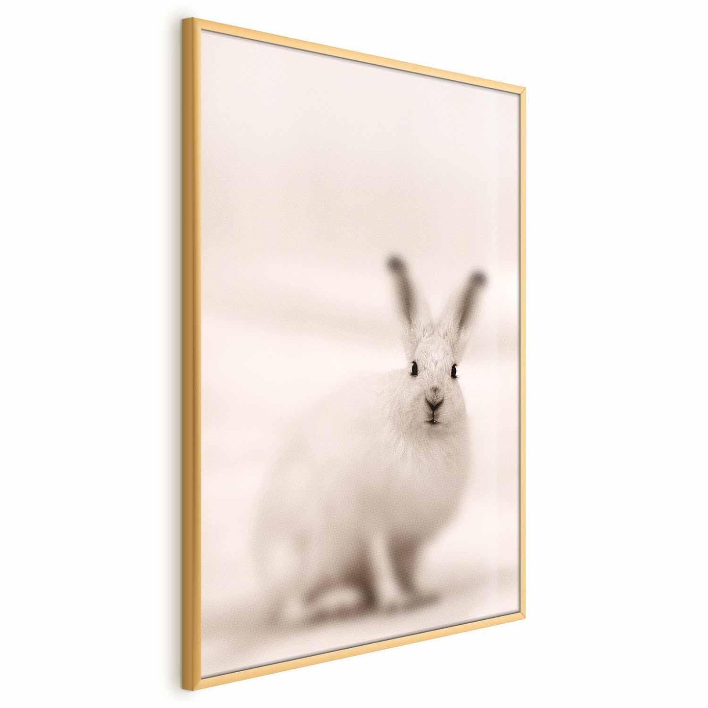 Poster - Fearful Look