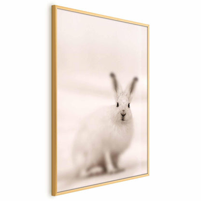 Poster - Fearful Look