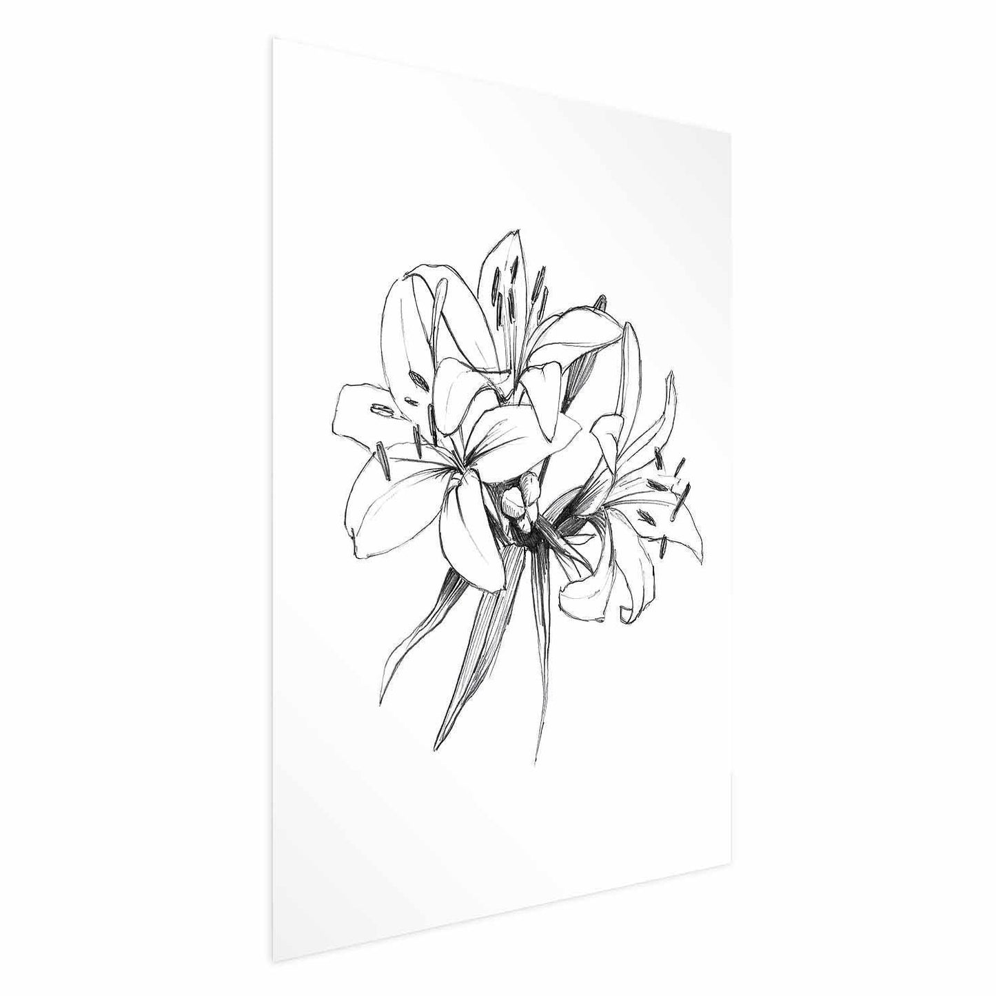 Poster - Drawn Flowers Artgeist
