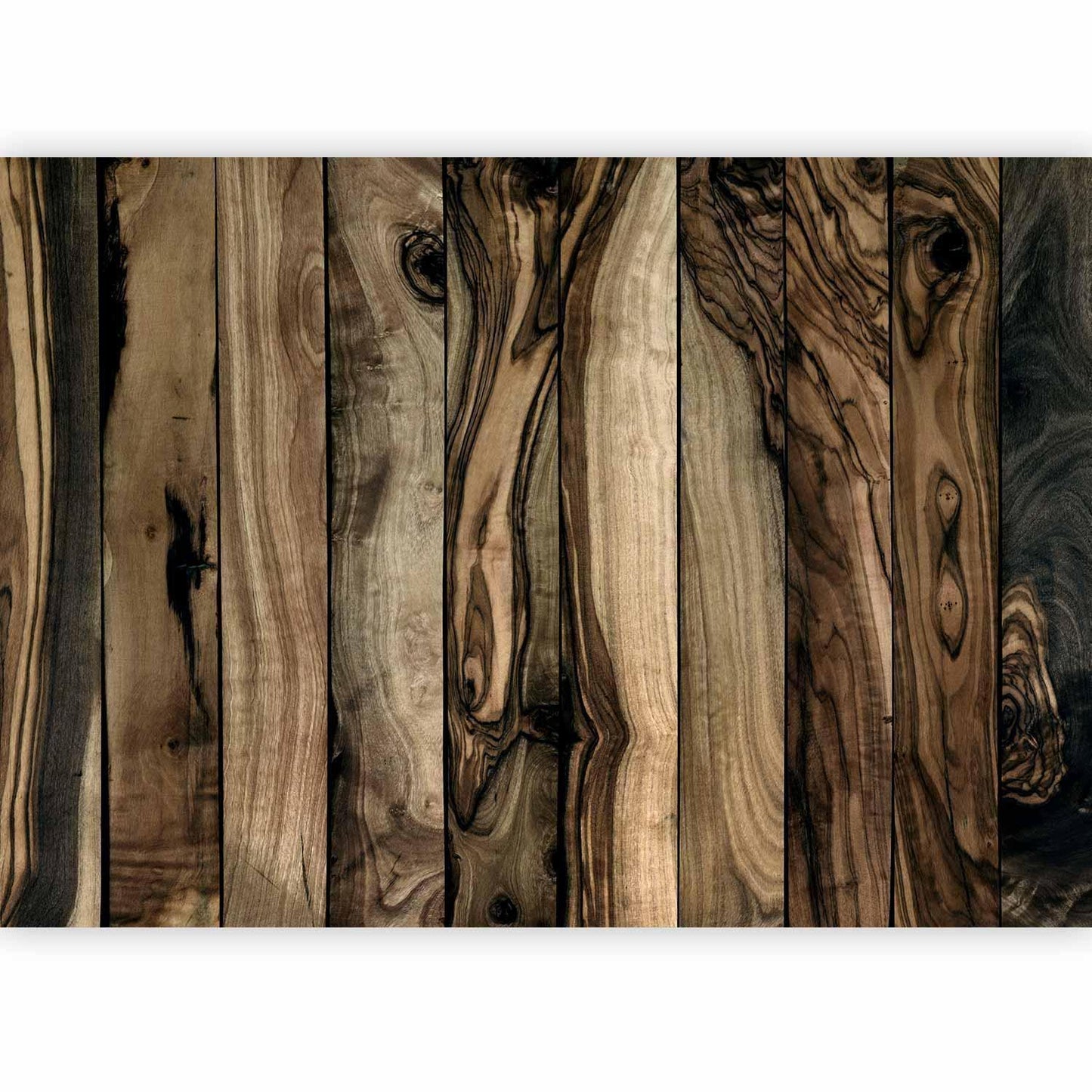 Fototapete - Olive Wood