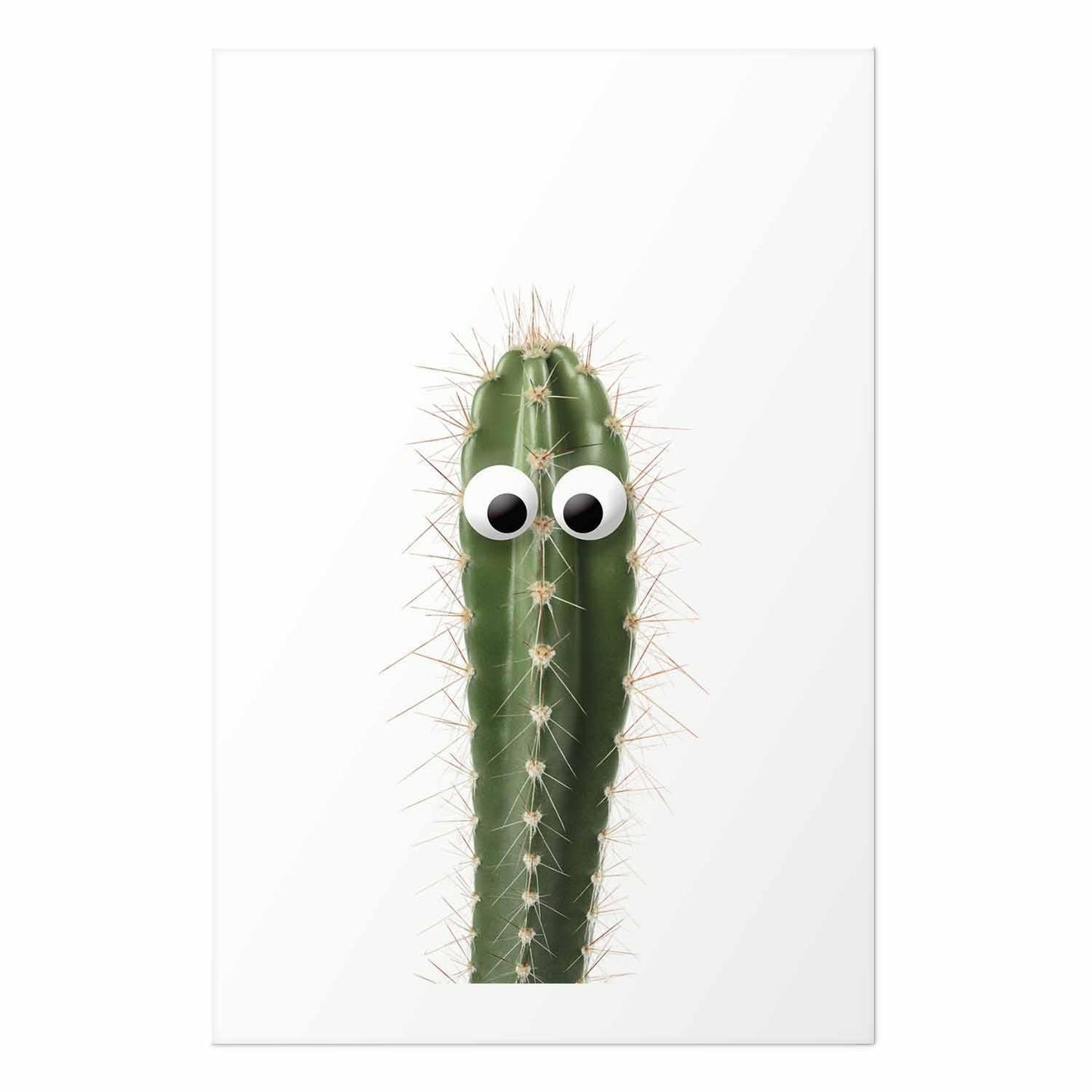 Poster - Living Cactus