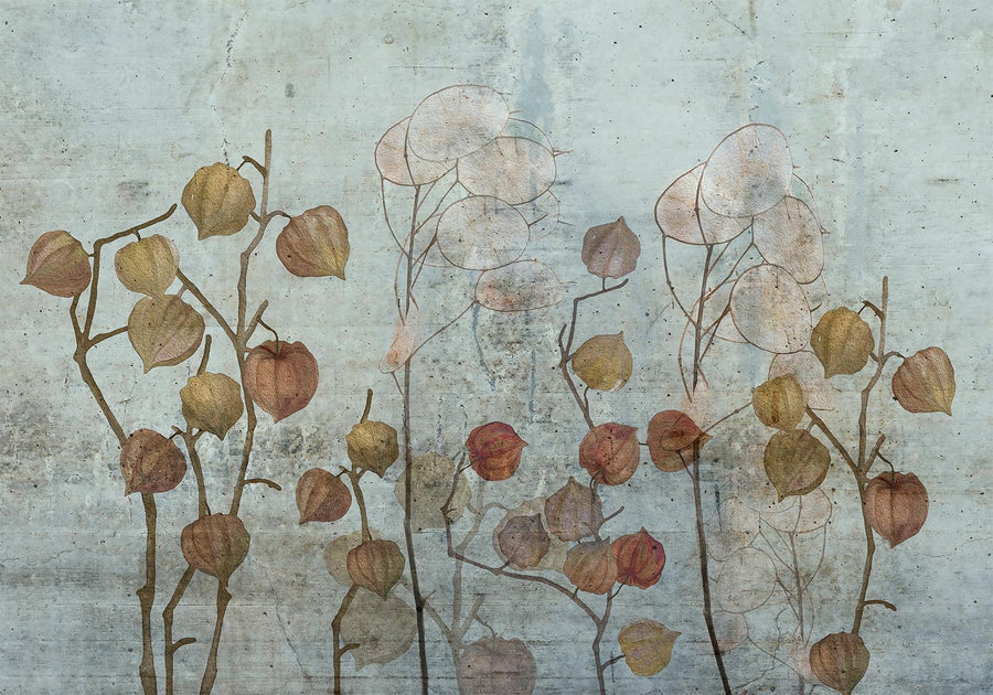 Fototapete „Painted Lunaria“ – Zarte Blütenkunst für stilvolle Räume