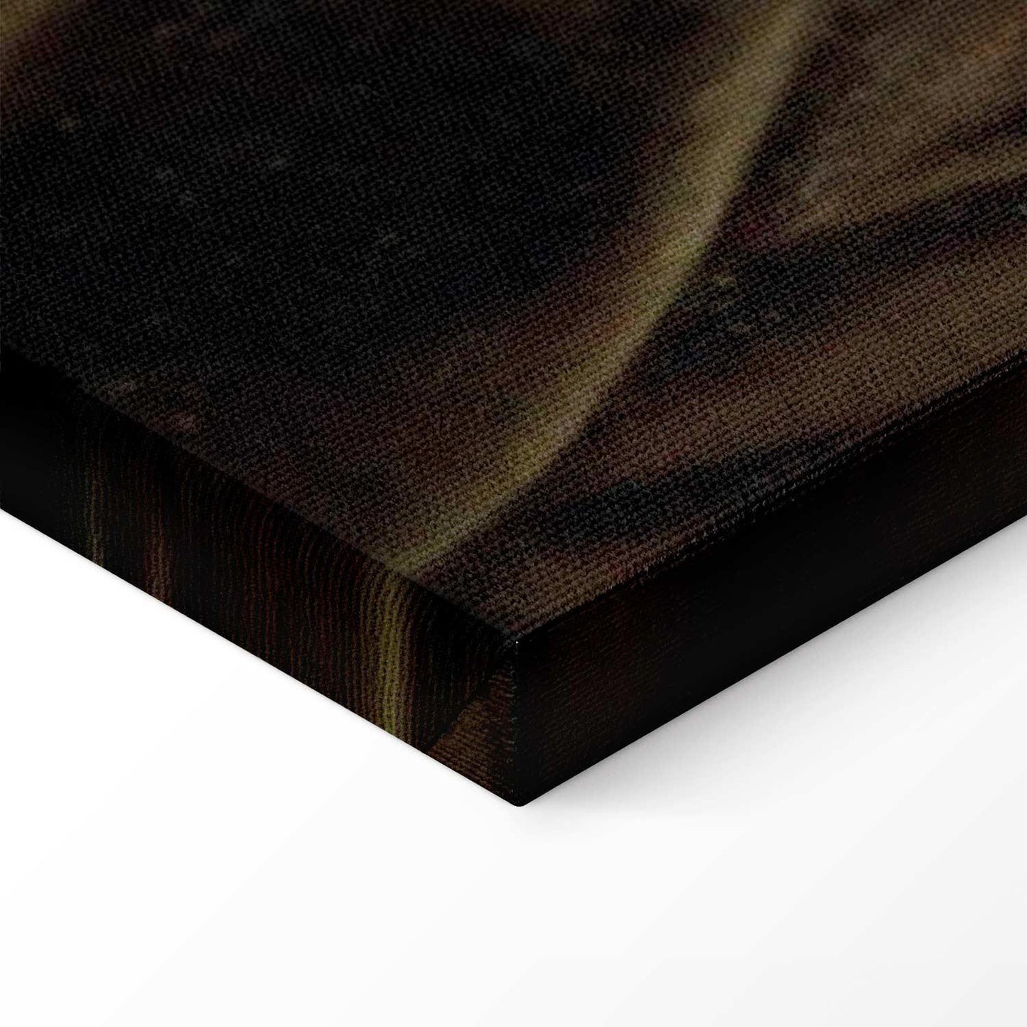 Leinwandbild - Frida Kahlo – Self-Portrait with Bonito