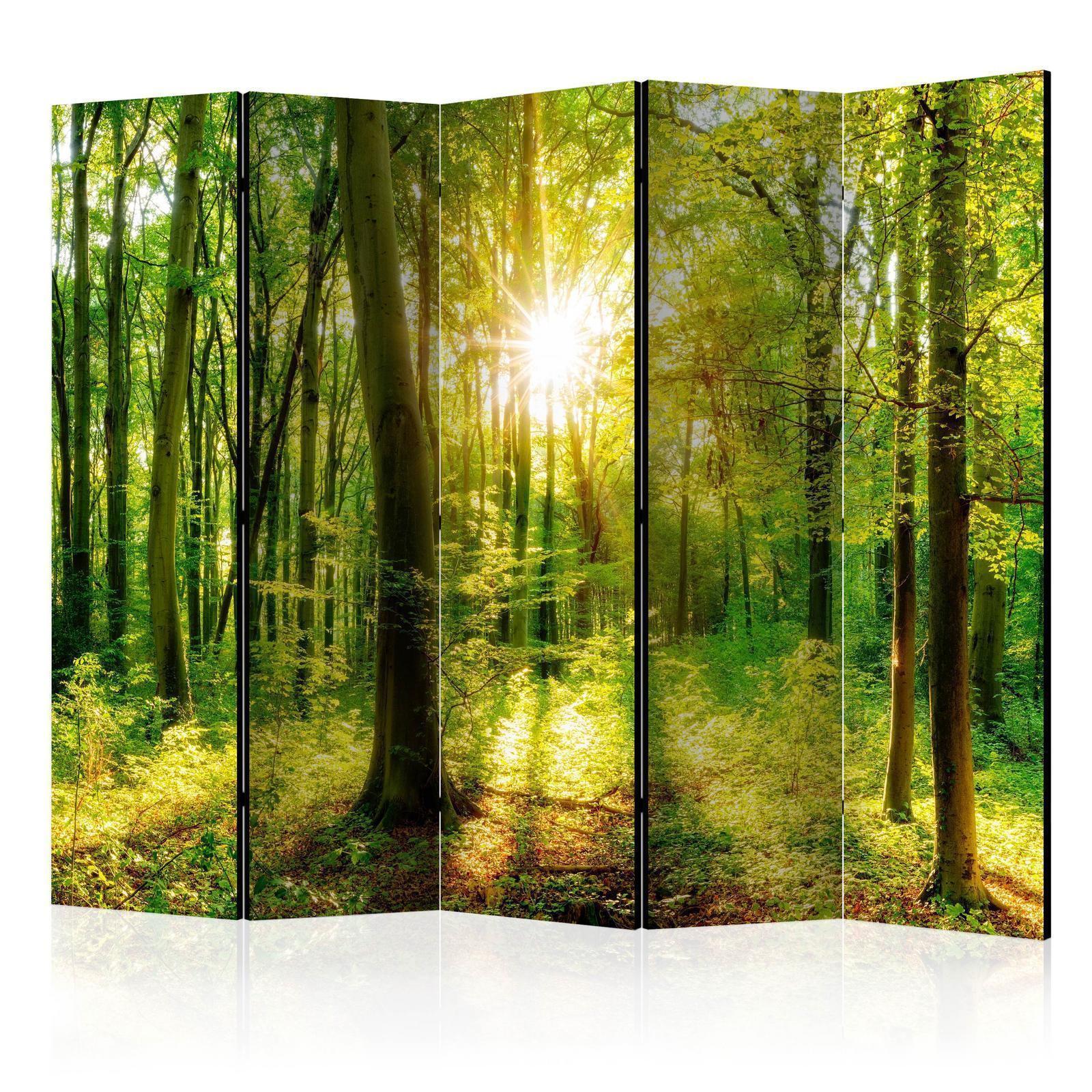 Paravent - Forest Rays II Artgeist