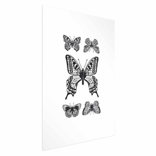 Poster - Five Butterflies Artgeist