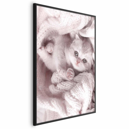 Poster - Lover of Rest