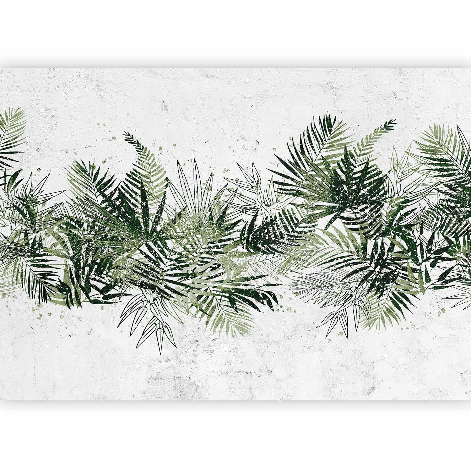 Fototapete - Jungle and green plume - large tropical leaves on a white background Artgeist