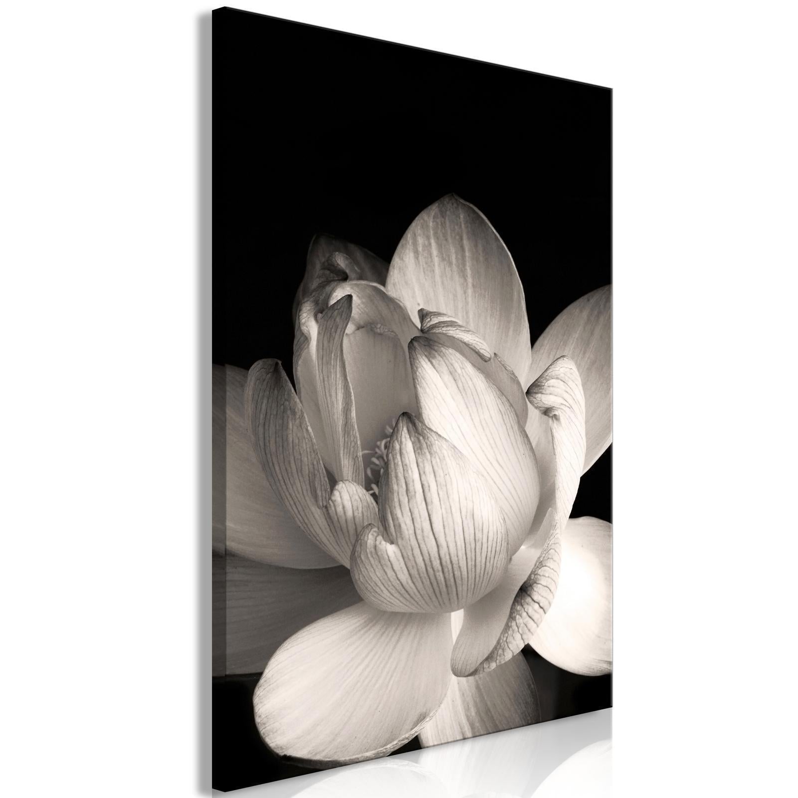 Leinwandbild - Delicacy of Petals in Nature (1-part) - Flower in Black and White Artgeist