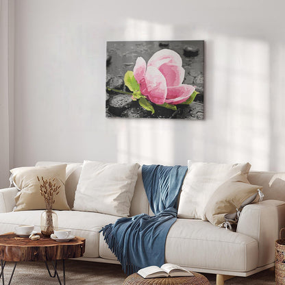 Malen nach Zahlen - Pink Flower and Stones