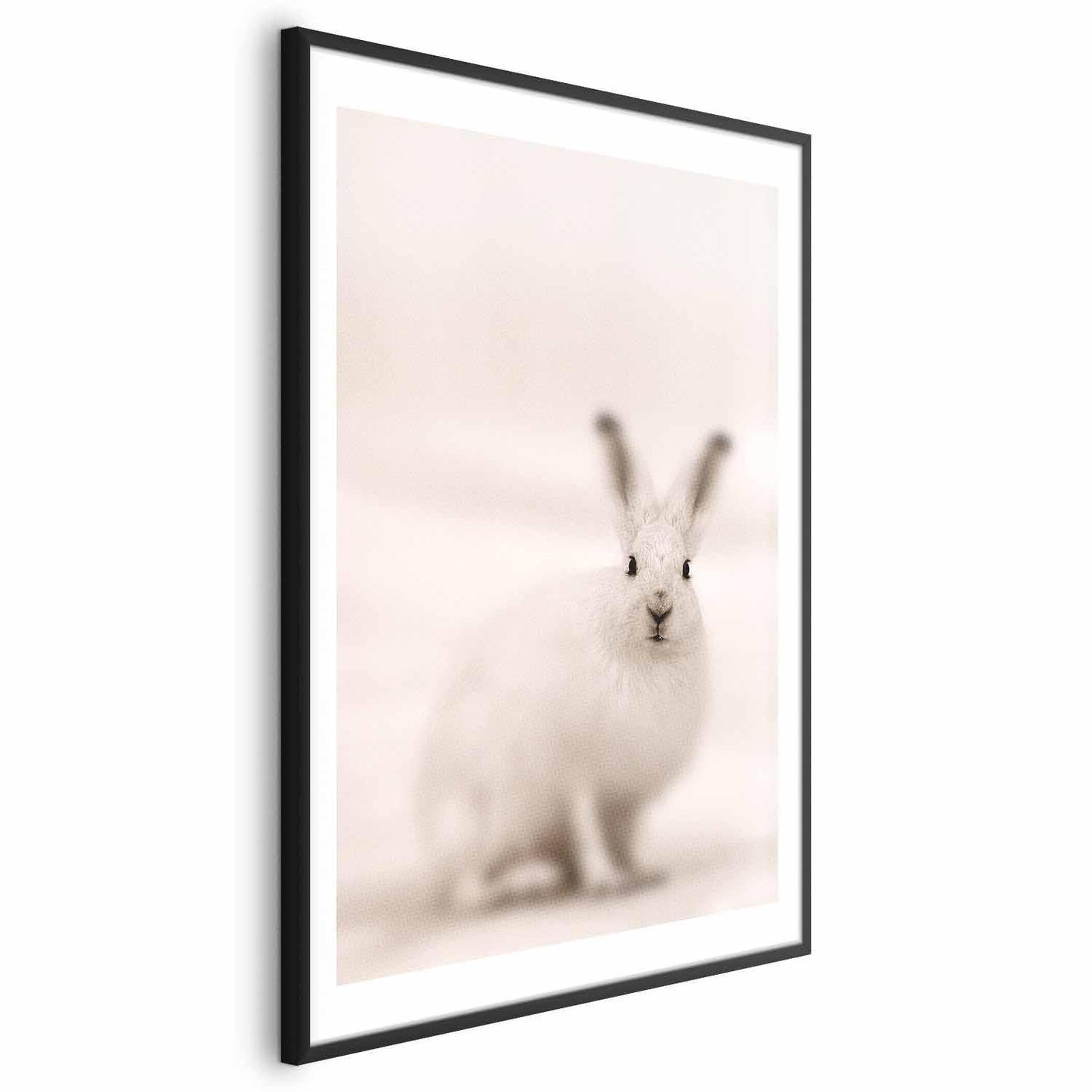 Poster - Fearful Look