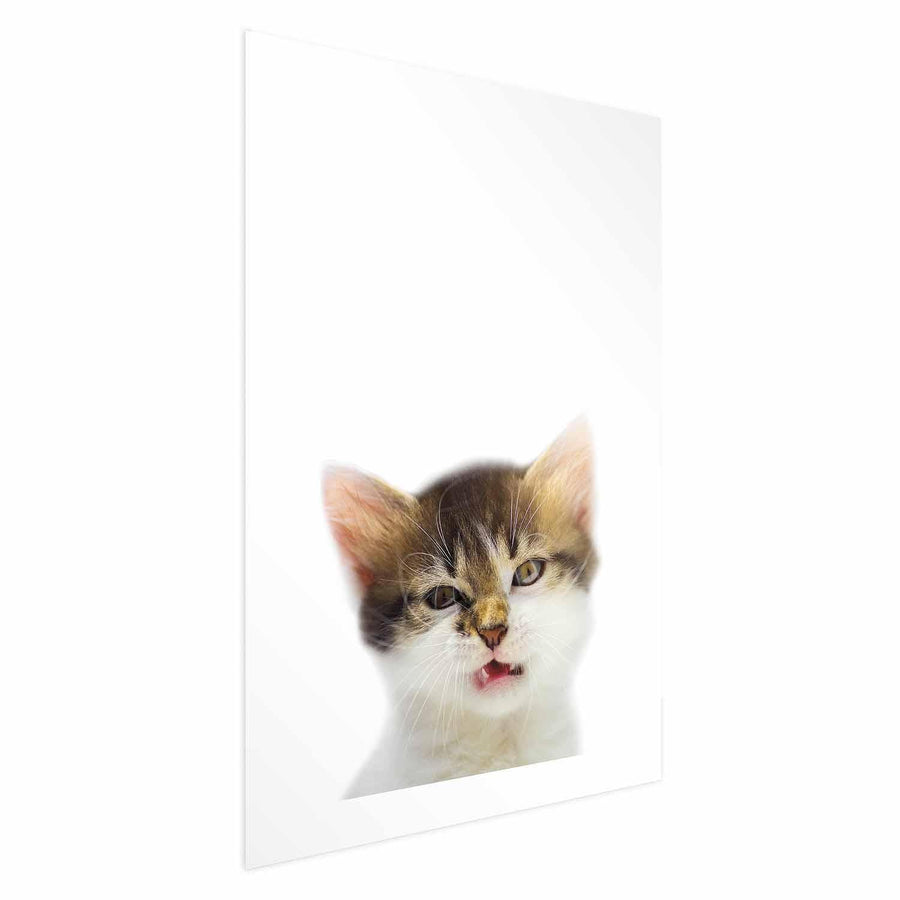 Poster - Annoyed Cat Artgeist