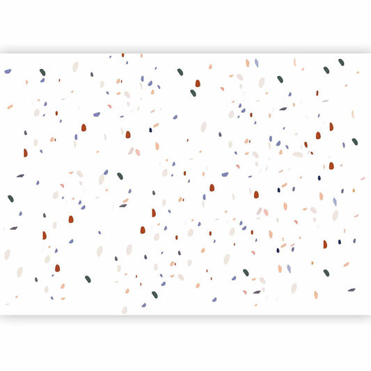 Fototapete - Classic Terrazzo on White Background