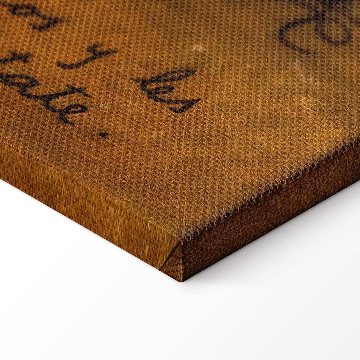 Leinwandbild - Frida Kahlo – They Asked for Planes and Got Straw Wings