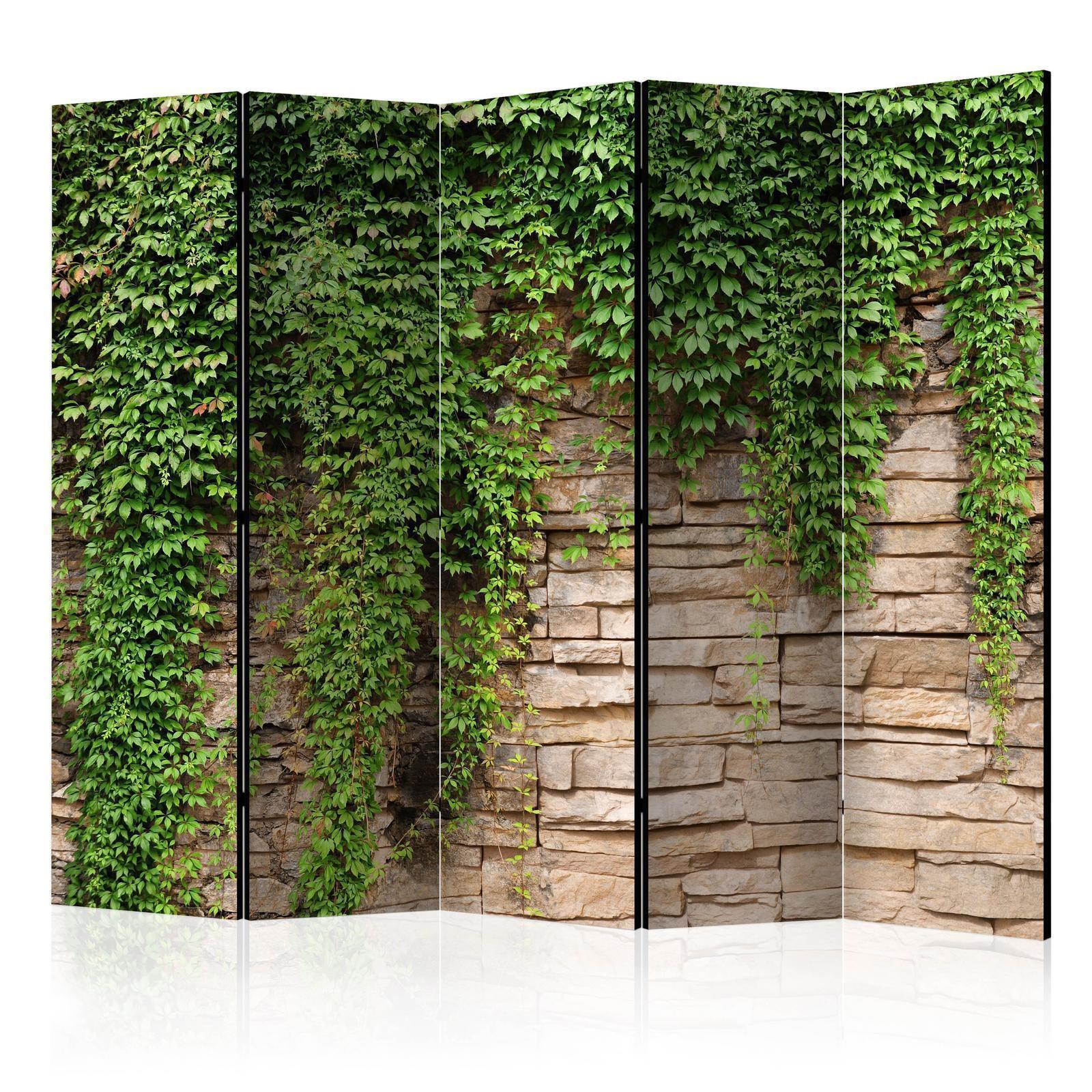 Paravent - Ivy wall II Artgeist