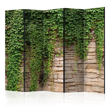 Paravent - Ivy wall II Artgeist