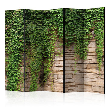 Paravent - Ivy wall II Artgeist