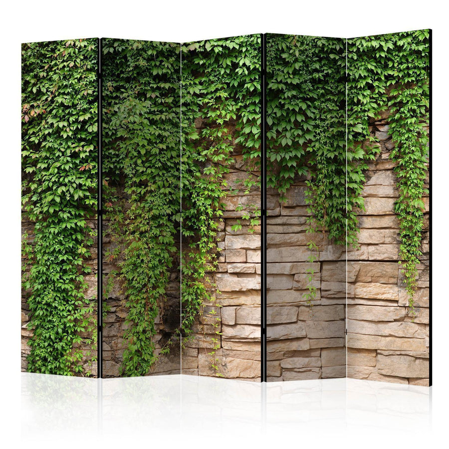 Paravent - Ivy wall II Artgeist