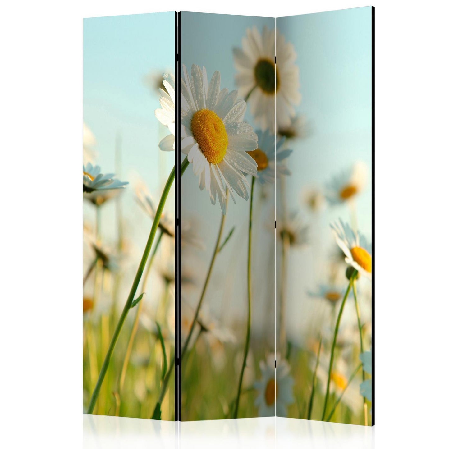 Paravent - Daisies - spring meadow Artgeist