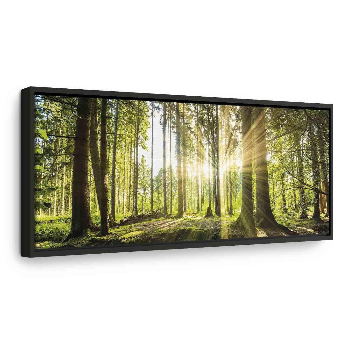 Leinwandbild „Tageslicht“ – Sanftes Sonnenlicht trifft Natur