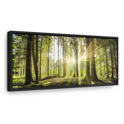 Leinwandbild „Tageslicht“ – Sanftes Sonnenlicht trifft Natur