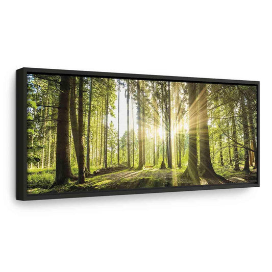 Leinwandbild „Tageslicht“ – Sanftes Sonnenlicht trifft Natur