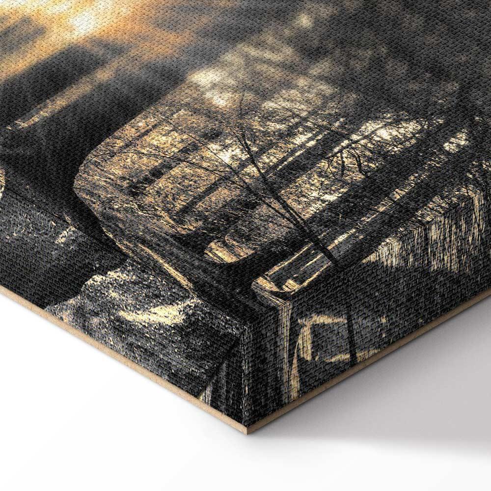 Leinwandbild - Forest Sun