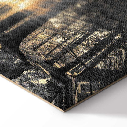 Leinwandbild - Forest Sun