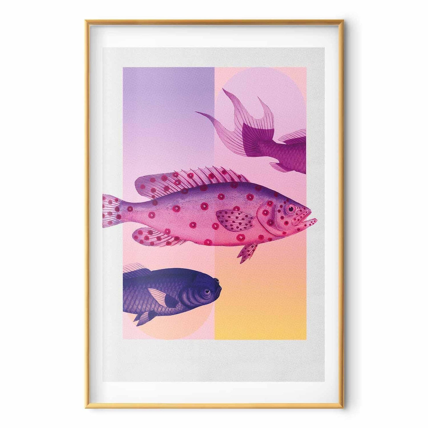 Poster - Fantastic Fish - artistic illustration of fish on a colorful background