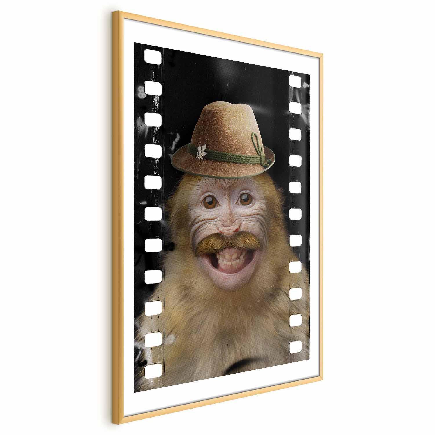Poster - Monkey in a Hat Artgeist
