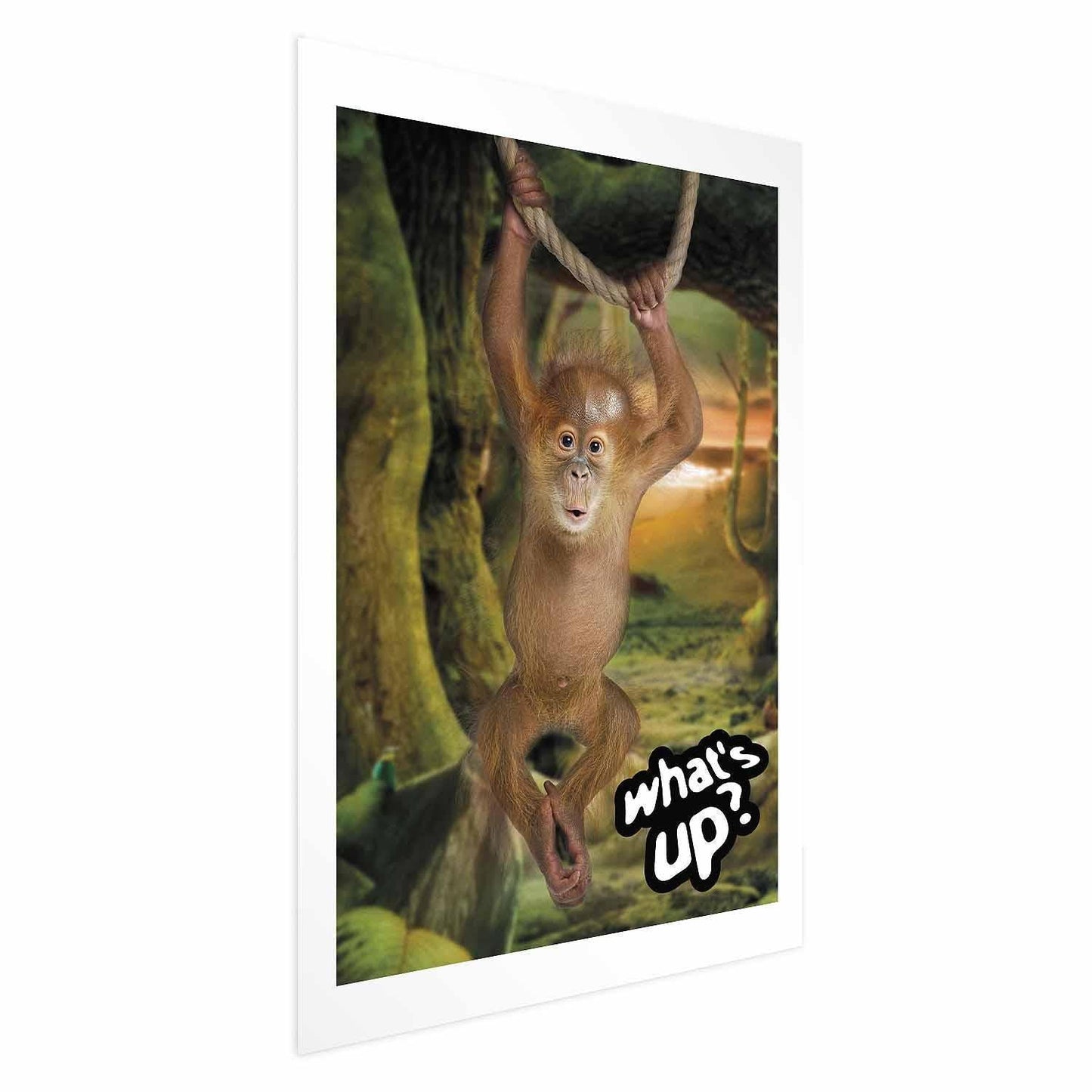 Poster - What's Up? Artgeist