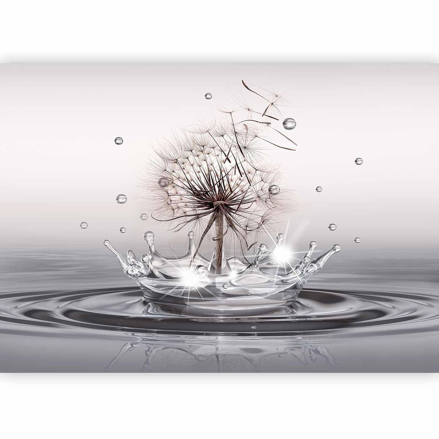 Fototapete - Wind Drops