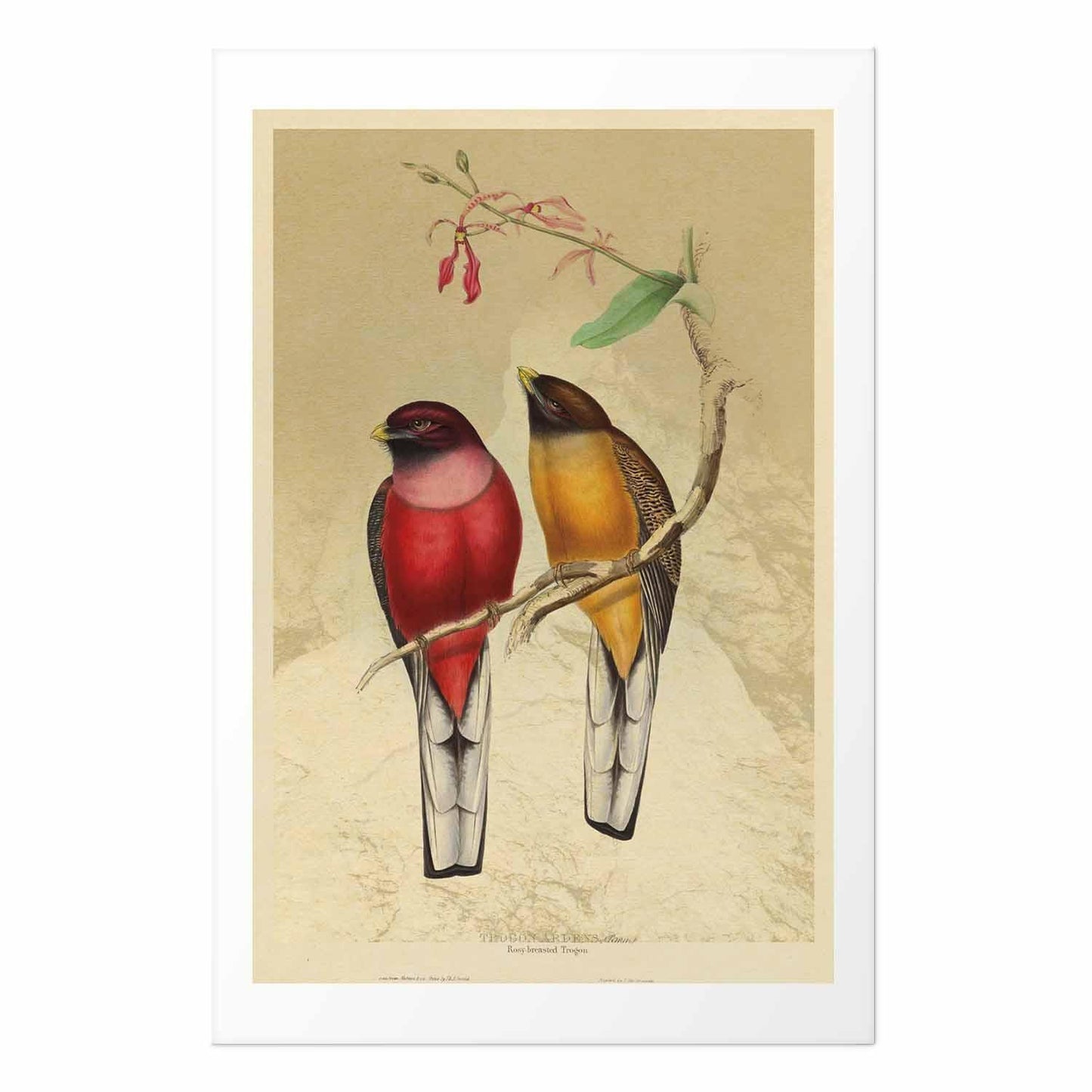 Poster - Birds on a Branch