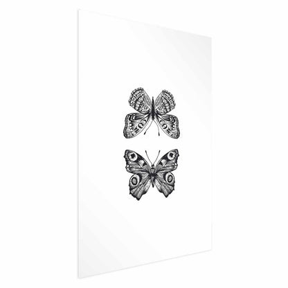 Poster - Two Butterflies Artgeist
