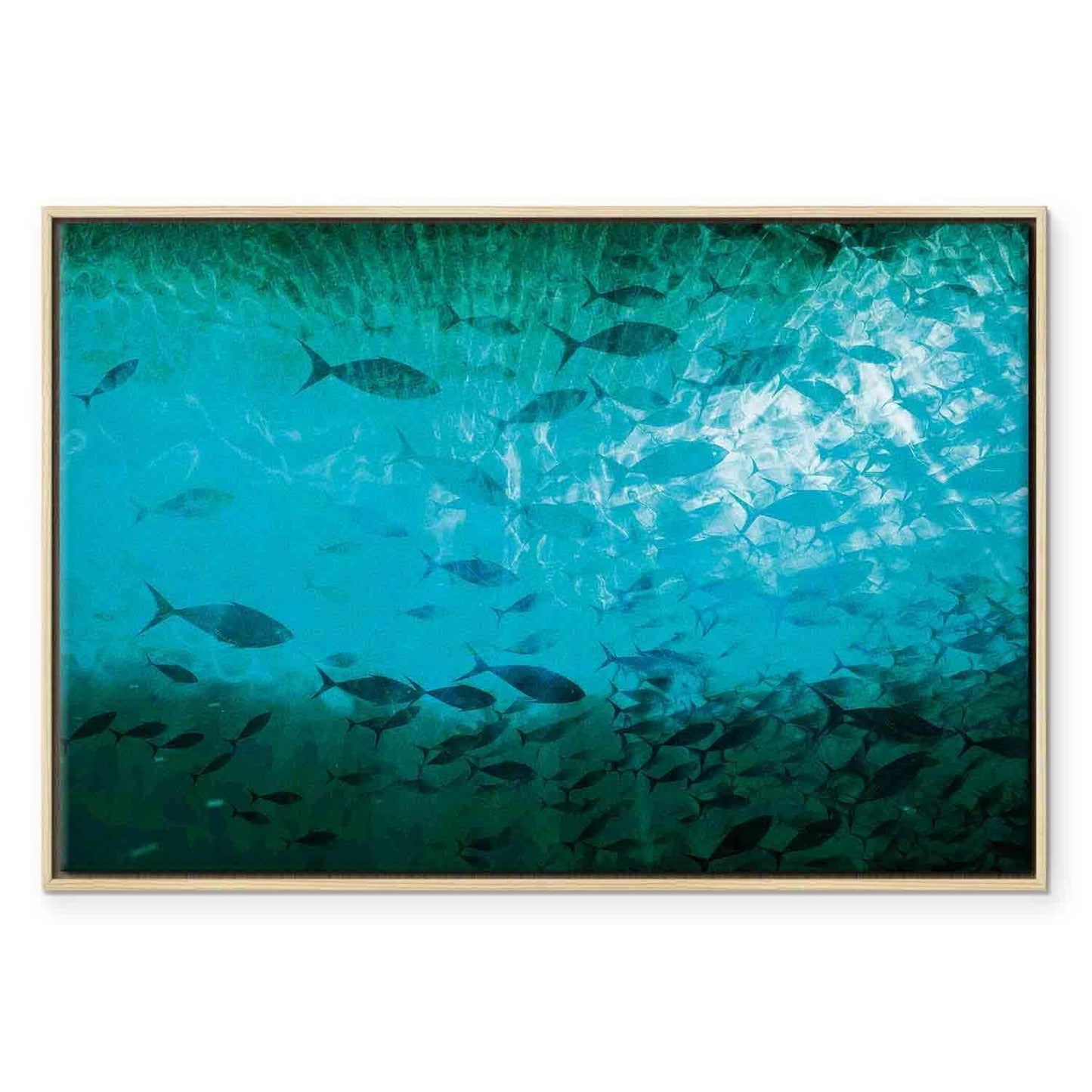 Leinwandbild - A shoal of dark fish