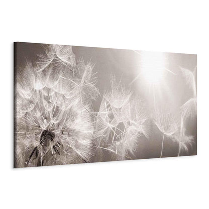 Leinwandbild - Summer Dandelions Artgeist