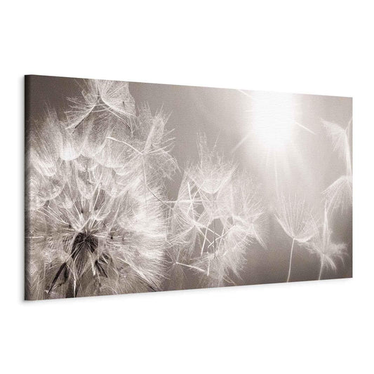 Leinwandbild - Summer Dandelions Artgeist