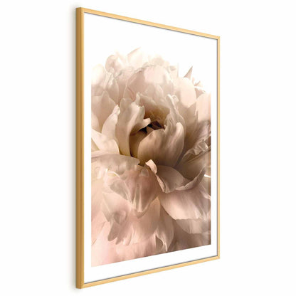 Poster - Soft Petals Artgeist