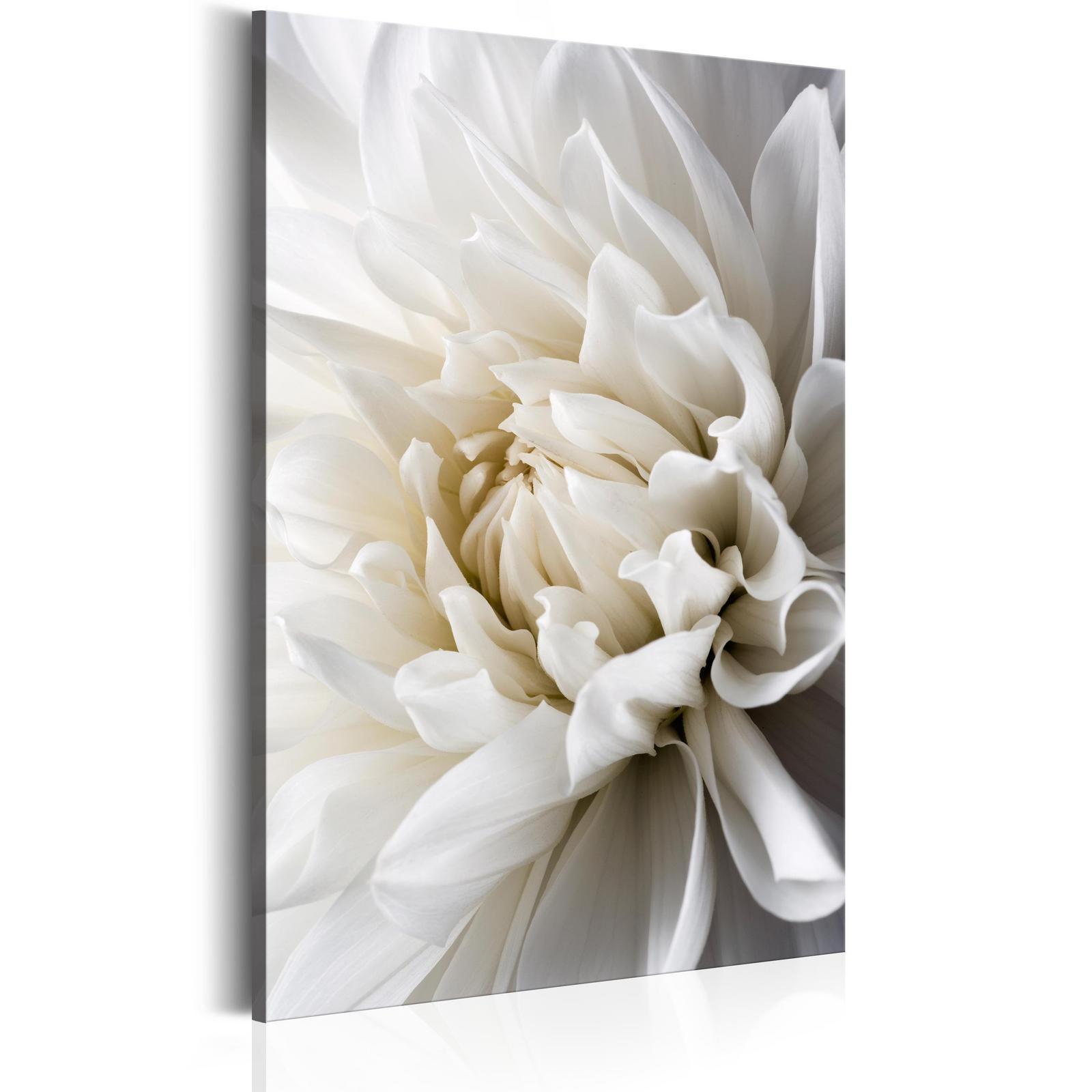 Canvas art of a white dahlia flower in elegant, soft tones.
