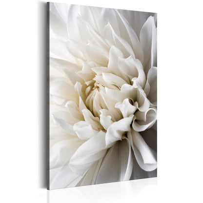 Canvas art of a white dahlia flower in elegant, soft tones.