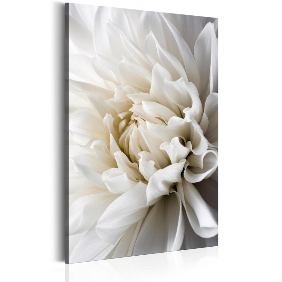 Canvas art of a white dahlia flower in elegant, soft tones.