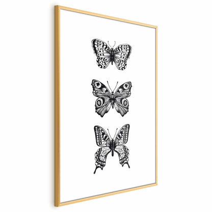 Poster - Three Butterflies Artgeist