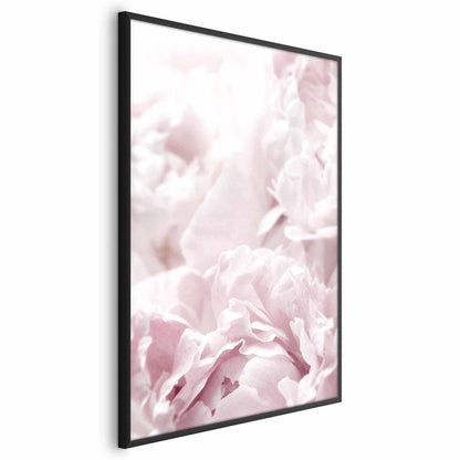 Poster - Fluffy Peonies Artgeist