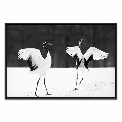 Leinwandbild - Dancing Cranes (1 Part) Wide
