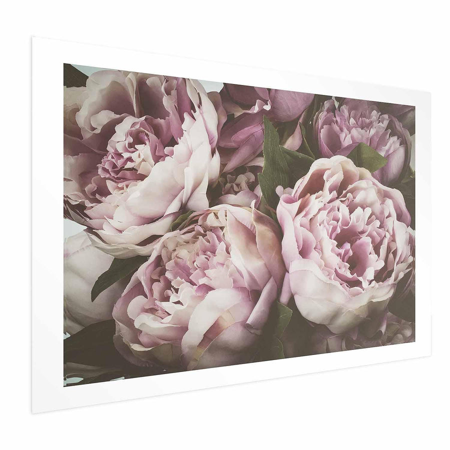 Poster - Pink Peonies Artgeist