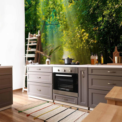 Fototapete - Road in Sunlight